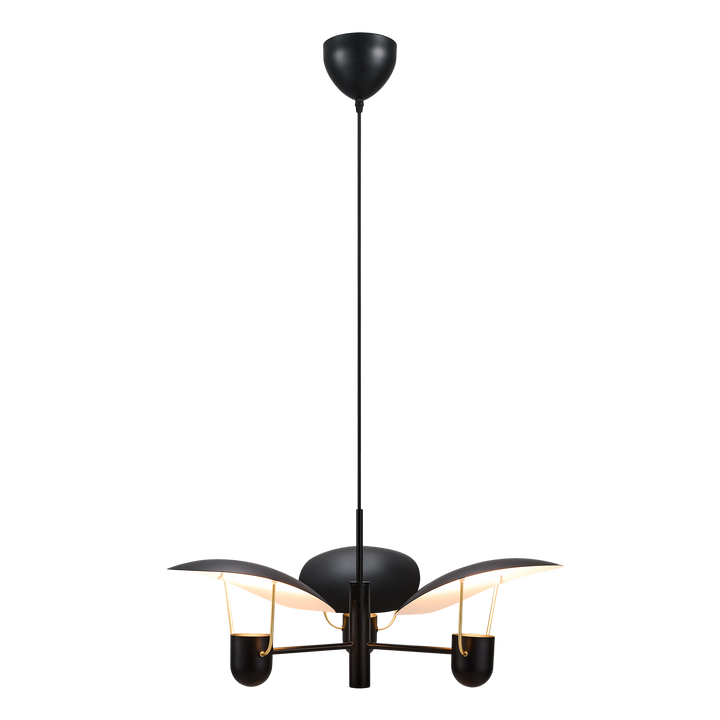 Fabiola | Hanglamp | Zwart