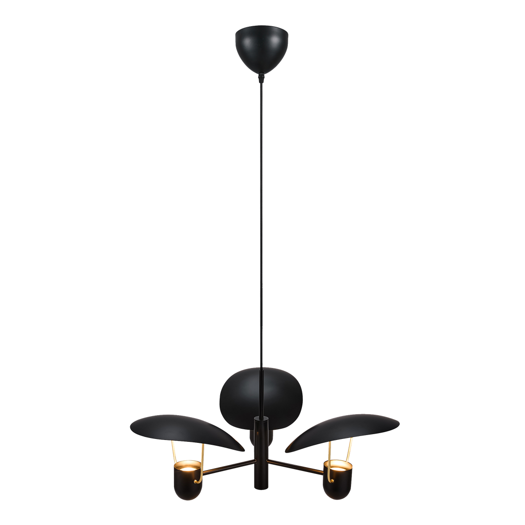 Fabiola | Hanglamp | Zwart