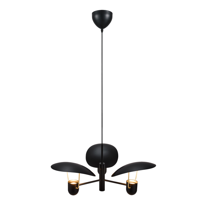 Fabiola | Hanglamp | Zwart