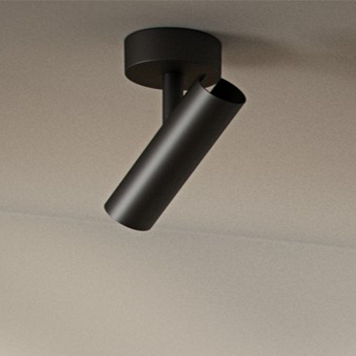 Two black ceiling lights on a white ceiling